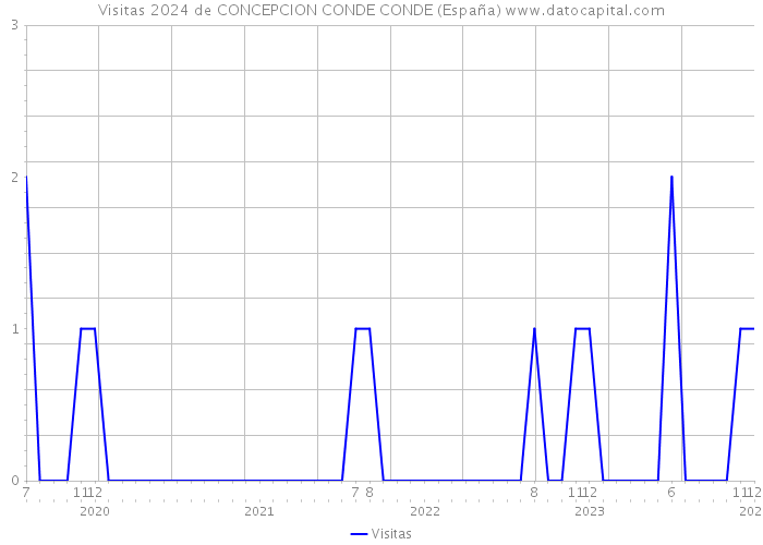 Visitas 2024 de CONCEPCION CONDE CONDE (España) 