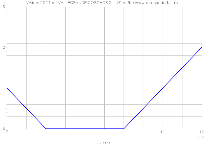 Visitas 2024 de VALLEGRANDE CORCHOS S.L. (España) 