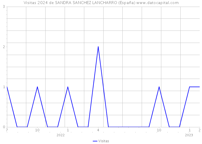 Visitas 2024 de SANDRA SANCHEZ LANCHARRO (España) 