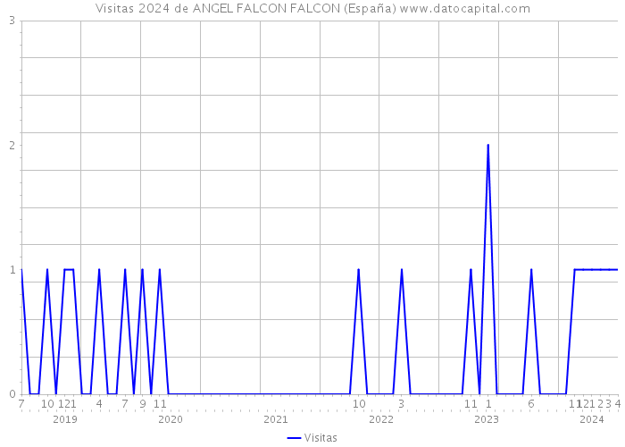 Visitas 2024 de ANGEL FALCON FALCON (España) 