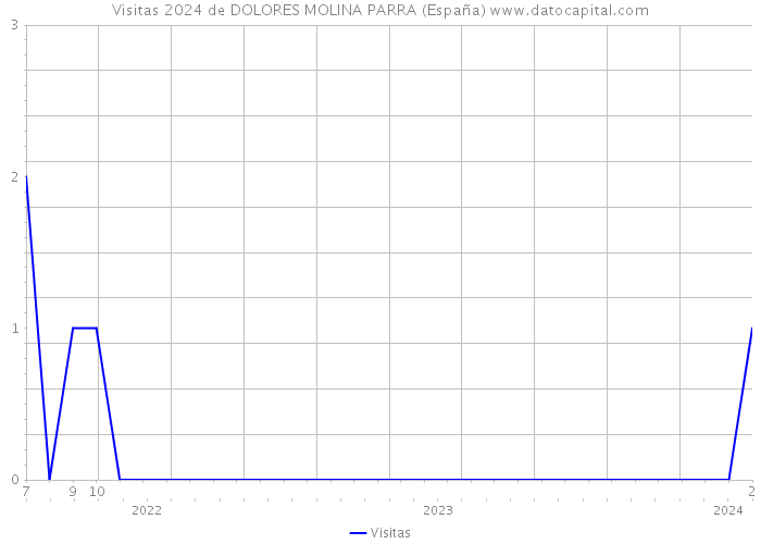 Visitas 2024 de DOLORES MOLINA PARRA (España) 