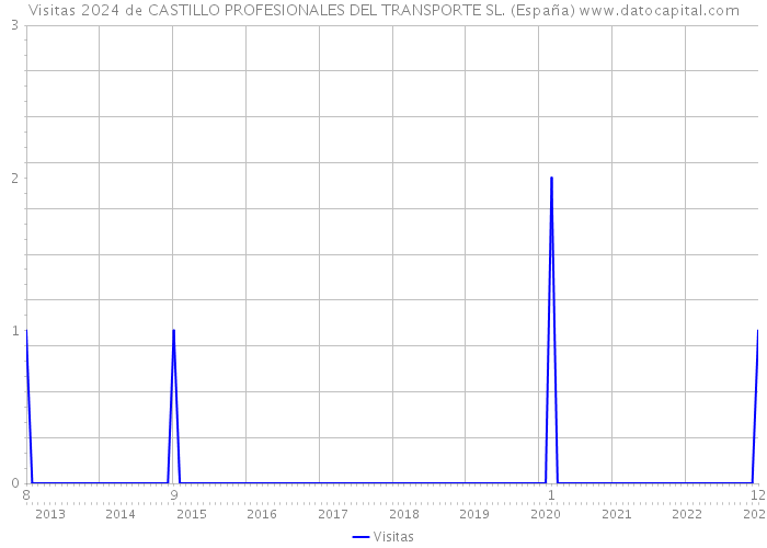 Visitas 2024 de CASTILLO PROFESIONALES DEL TRANSPORTE SL. (España) 
