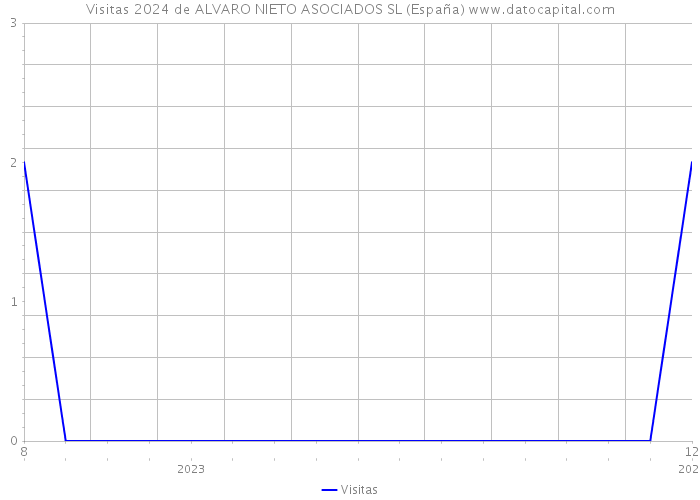 Visitas 2024 de ALVARO NIETO ASOCIADOS SL (España) 