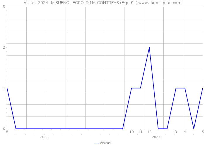 Visitas 2024 de BUENO LEOPOLDINA CONTREAS (España) 