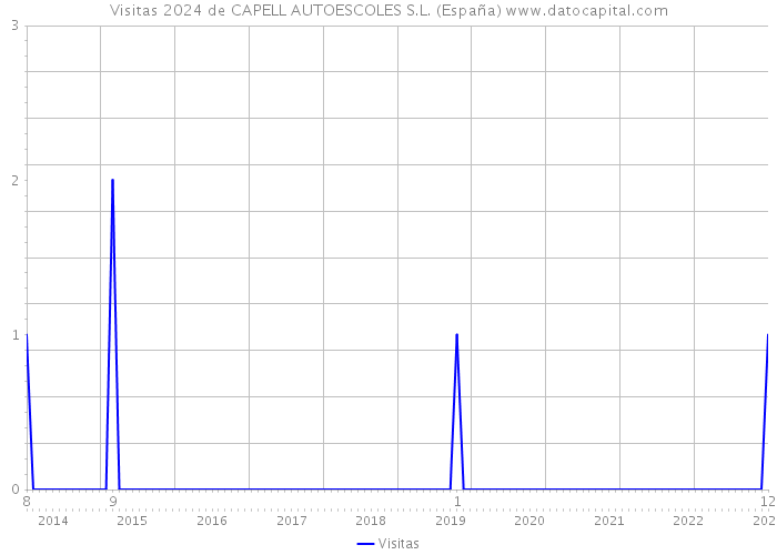 Visitas 2024 de CAPELL AUTOESCOLES S.L. (España) 