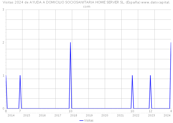 Visitas 2024 de AYUDA A DOMICILIO SOCIOSANITARIA HOME SERVER SL. (España) 