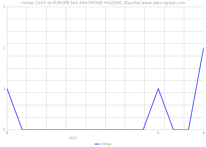 Visitas 2024 de EUROPE SAS ARAYMOND HOLDING (España) 
