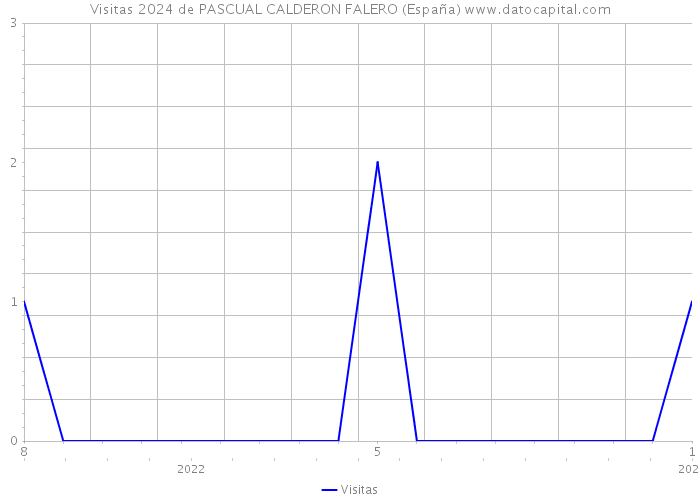 Visitas 2024 de PASCUAL CALDERON FALERO (España) 