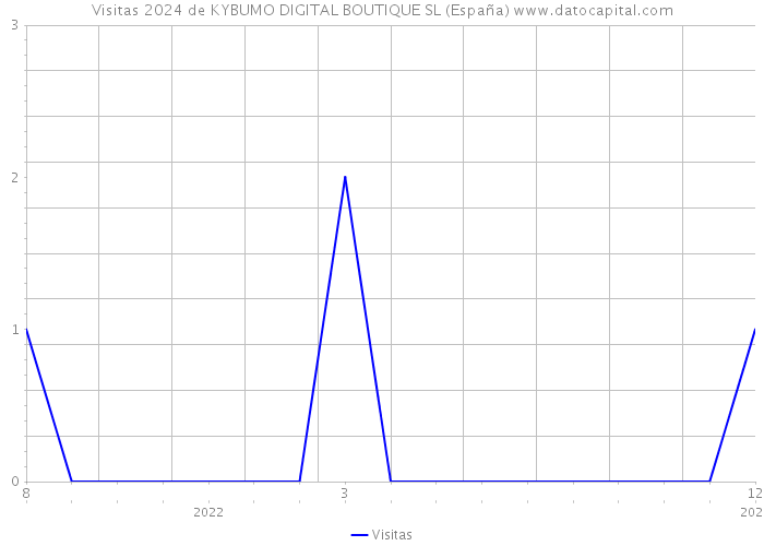 Visitas 2024 de KYBUMO DIGITAL BOUTIQUE SL (España) 