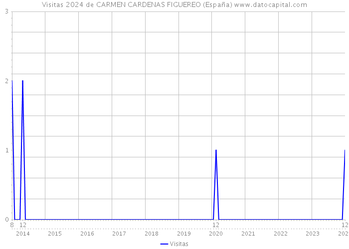 Visitas 2024 de CARMEN CARDENAS FIGUEREO (España) 