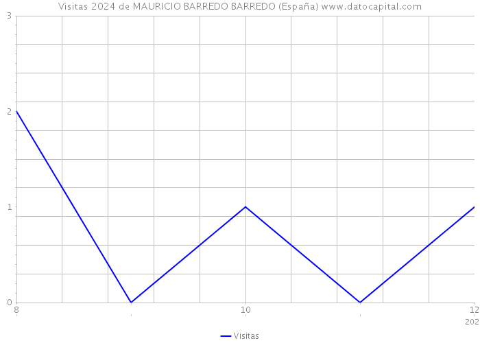Visitas 2024 de MAURICIO BARREDO BARREDO (España) 