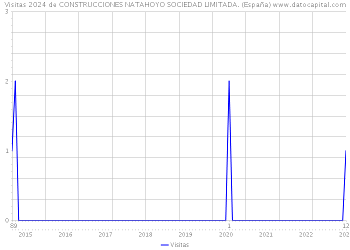 Visitas 2024 de CONSTRUCCIONES NATAHOYO SOCIEDAD LIMITADA. (España) 