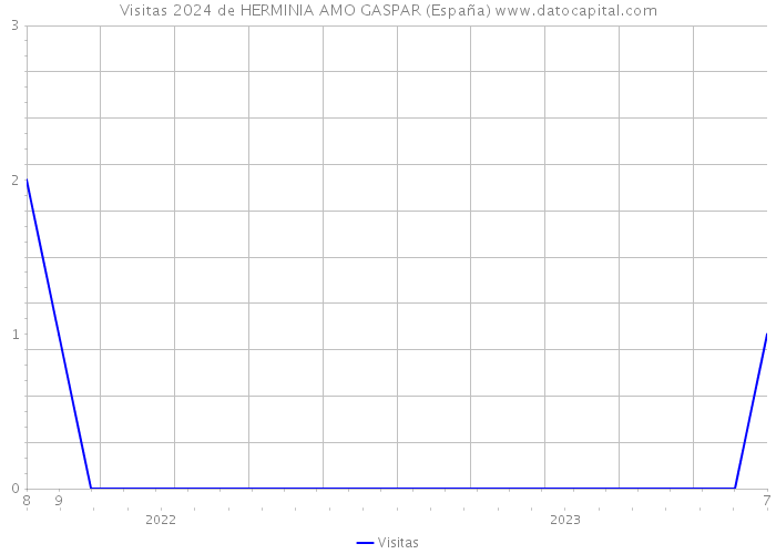 Visitas 2024 de HERMINIA AMO GASPAR (España) 
