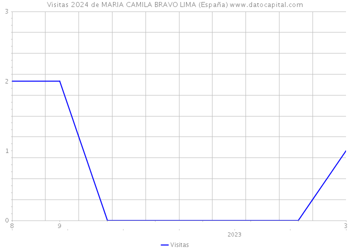 Visitas 2024 de MARIA CAMILA BRAVO LIMA (España) 