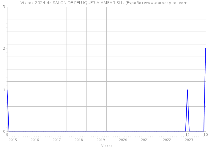 Visitas 2024 de SALON DE PELUQUERIA AMBAR SLL. (España) 