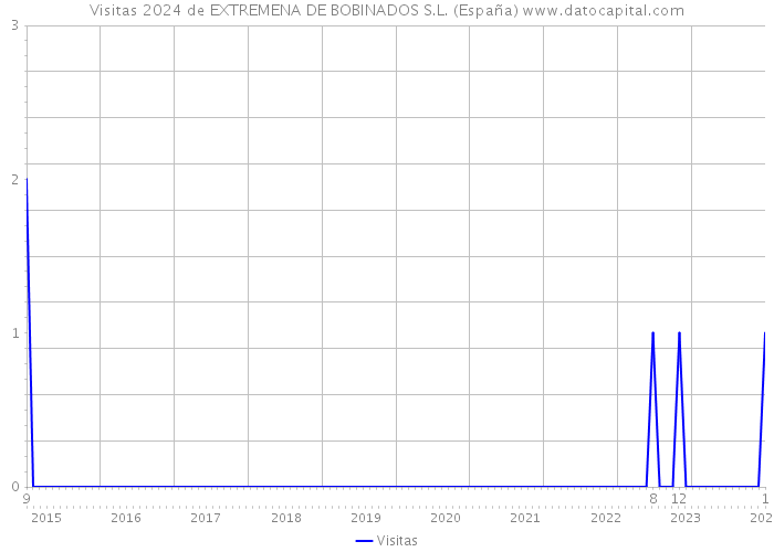 Visitas 2024 de EXTREMENA DE BOBINADOS S.L. (España) 