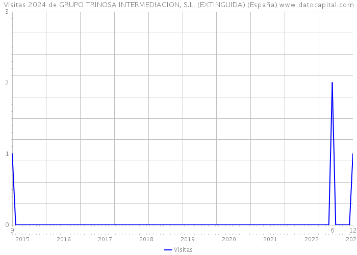 Visitas 2024 de GRUPO TRINOSA INTERMEDIACION, S.L. (EXTINGUIDA) (España) 