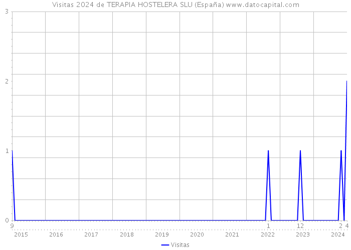 Visitas 2024 de TERAPIA HOSTELERA SLU (España) 