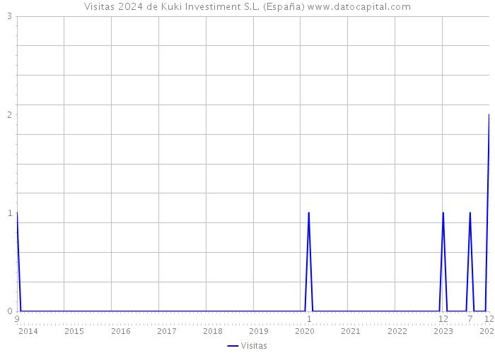 Visitas 2024 de Kuki Investiment S.L. (España) 