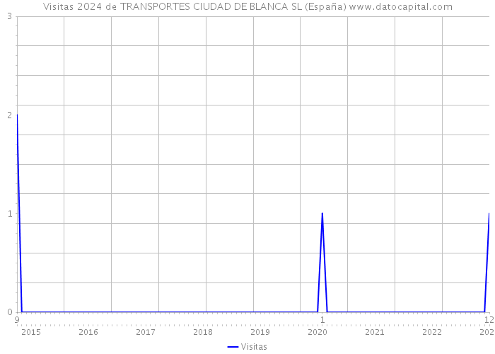 Visitas 2024 de TRANSPORTES CIUDAD DE BLANCA SL (España) 