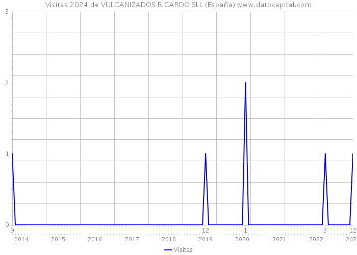 Visitas 2024 de VULCANIZADOS RICARDO SLL (España) 