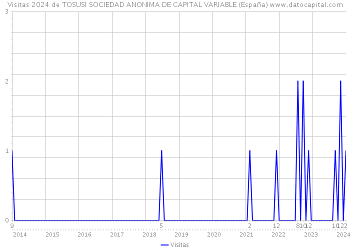 Visitas 2024 de TOSUSI SOCIEDAD ANONIMA DE CAPITAL VARIABLE (España) 