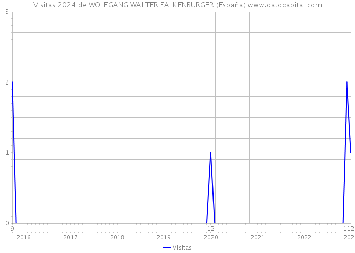 Visitas 2024 de WOLFGANG WALTER FALKENBURGER (España) 