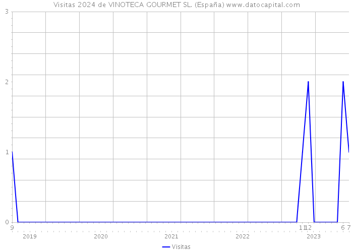 Visitas 2024 de VINOTECA GOURMET SL. (España) 