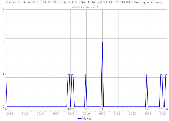 Visitas 2024 de SOCIEDAD COOPERATIVA MEDIA LUNA SOCIEDAD COOPERATIVA (España) 