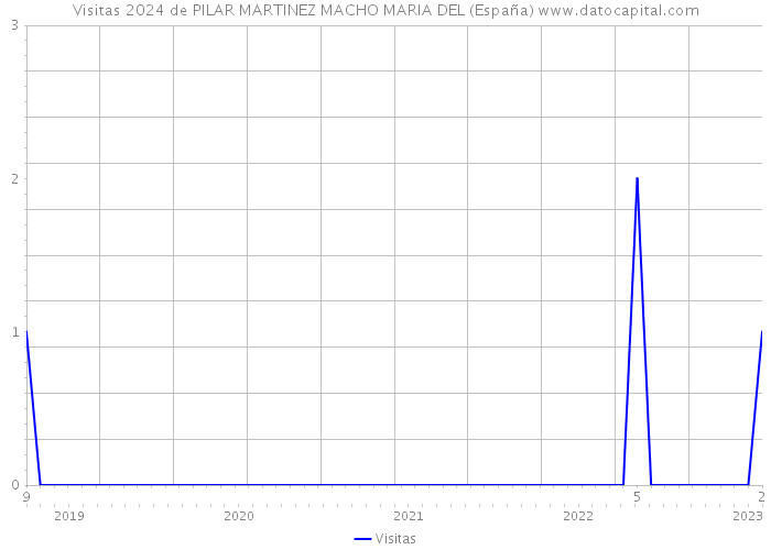 Visitas 2024 de PILAR MARTINEZ MACHO MARIA DEL (España) 