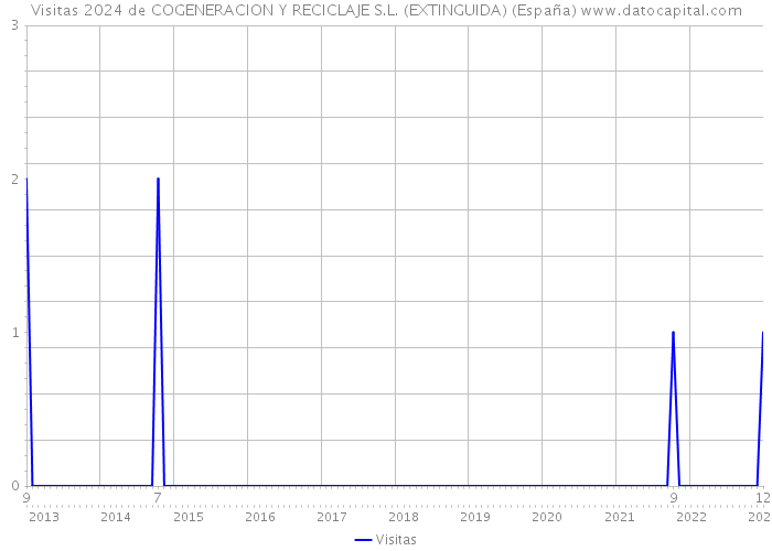 Visitas 2024 de COGENERACION Y RECICLAJE S.L. (EXTINGUIDA) (España) 