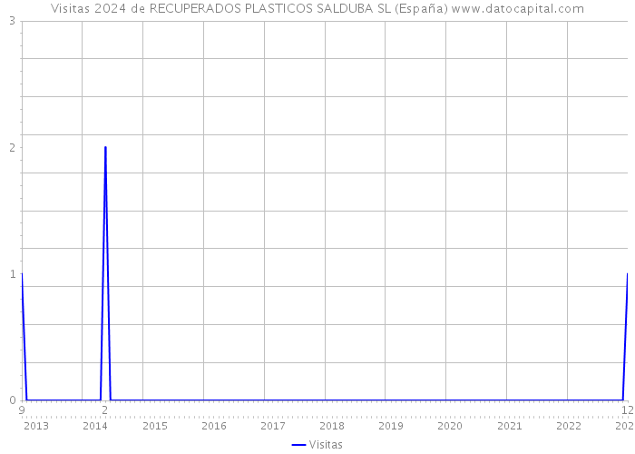 Visitas 2024 de RECUPERADOS PLASTICOS SALDUBA SL (España) 