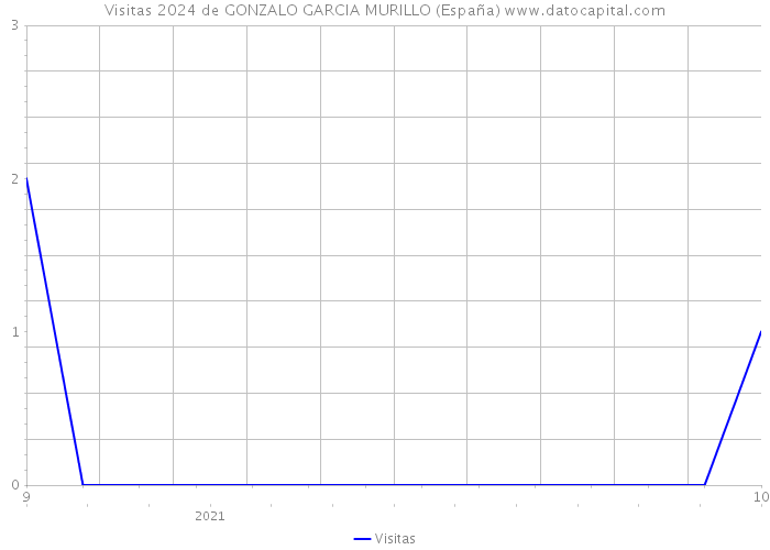 Visitas 2024 de GONZALO GARCIA MURILLO (España) 