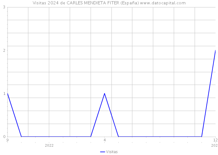Visitas 2024 de CARLES MENDIETA FITER (España) 