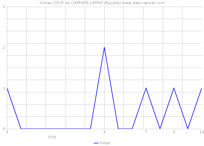 Visitas 2024 de CAMARA LAMIN (España) 
