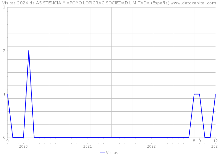 Visitas 2024 de ASISTENCIA Y APOYO LOPICRAC SOCIEDAD LIMITADA (España) 