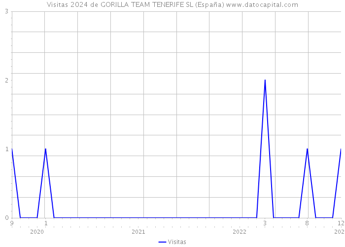 Visitas 2024 de GORILLA TEAM TENERIFE SL (España) 
