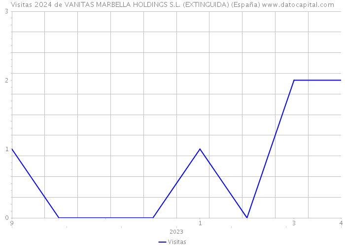 Visitas 2024 de VANITAS MARBELLA HOLDINGS S.L. (EXTINGUIDA) (España) 