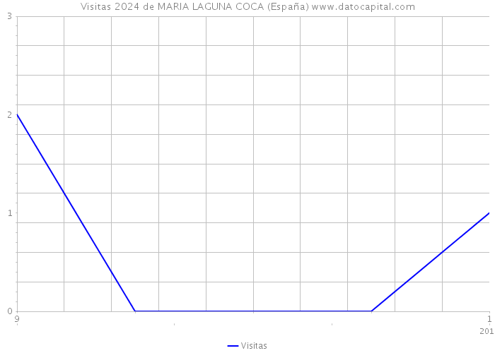 Visitas 2024 de MARIA LAGUNA COCA (España) 