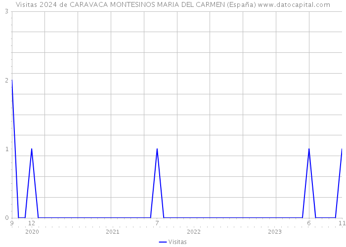 Visitas 2024 de CARAVACA MONTESINOS MARIA DEL CARMEN (España) 