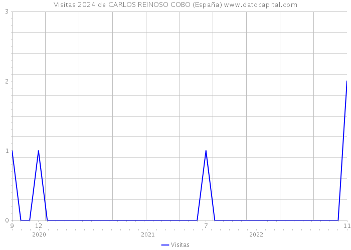 Visitas 2024 de CARLOS REINOSO COBO (España) 