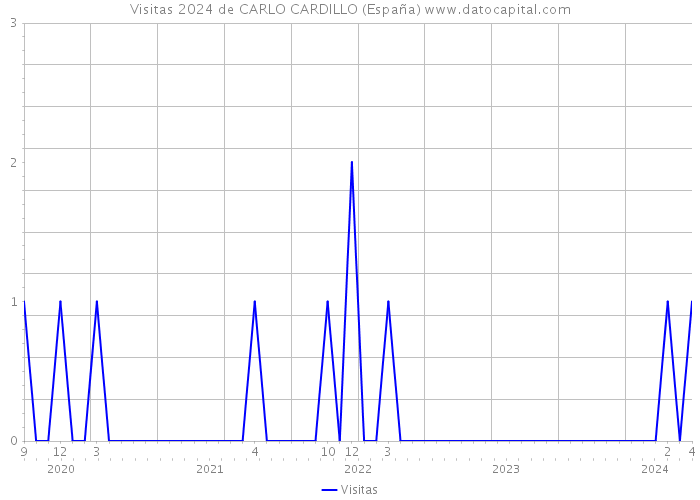Visitas 2024 de CARLO CARDILLO (España) 