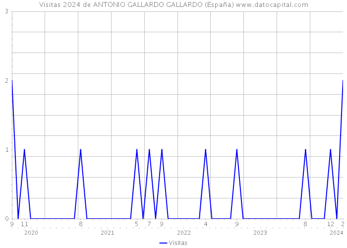 Visitas 2024 de ANTONIO GALLARDO GALLARDO (España) 