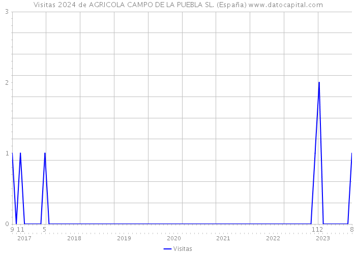 Visitas 2024 de AGRICOLA CAMPO DE LA PUEBLA SL. (España) 