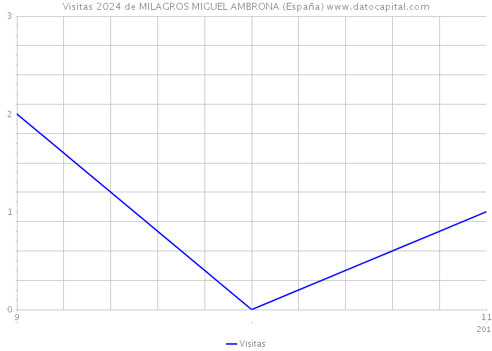 Visitas 2024 de MILAGROS MIGUEL AMBRONA (España) 