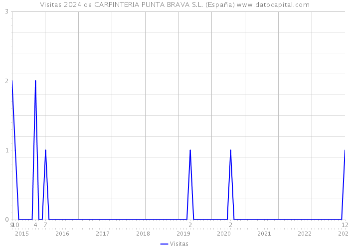 Visitas 2024 de CARPINTERIA PUNTA BRAVA S.L. (España) 