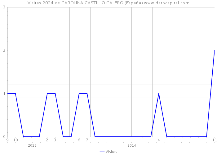 Visitas 2024 de CAROLINA CASTILLO CALERO (España) 