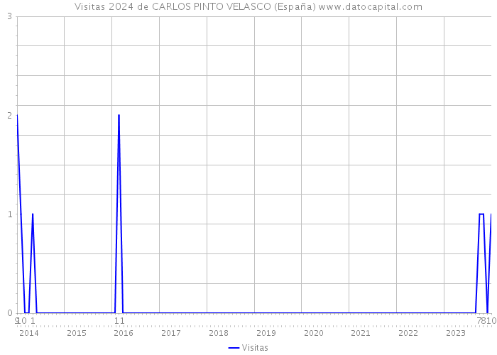Visitas 2024 de CARLOS PINTO VELASCO (España) 