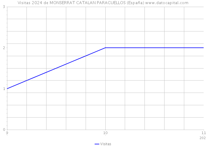 Visitas 2024 de MONSERRAT CATALAN PARACUELLOS (España) 