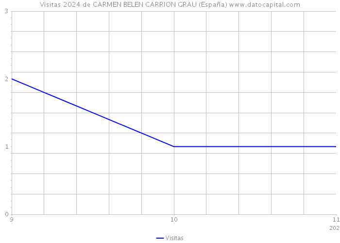 Visitas 2024 de CARMEN BELEN CARRION GRAU (España) 